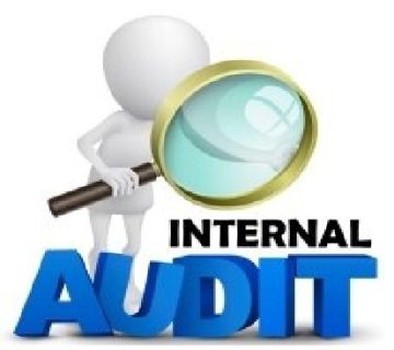 Internal audits 500x500 1 360x320