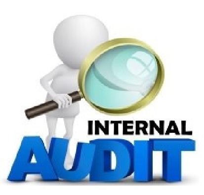 Internal audits 500x500 1